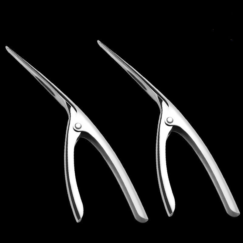 Stainless Steel Shrimp Thread Removal Tool Artifact